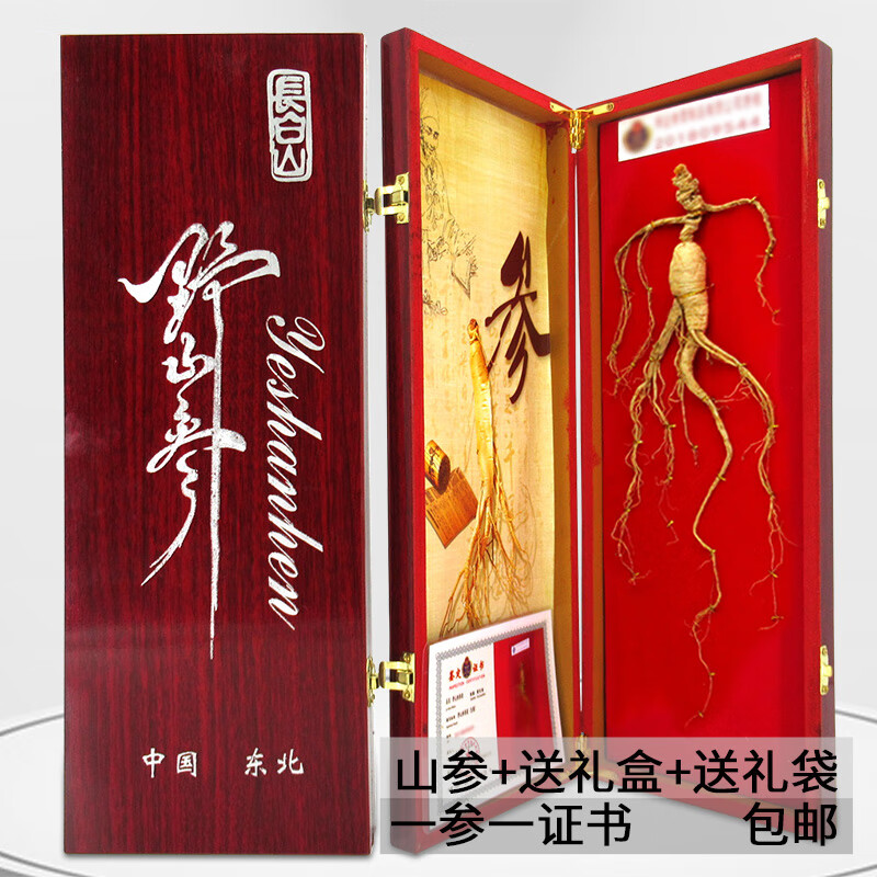 中国长白山野山参（新品）-