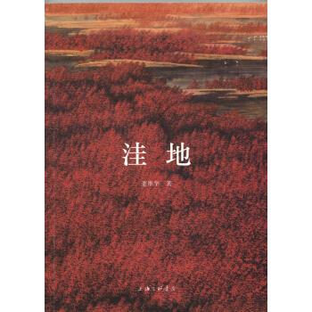 正版 洼地 9787542657800 董维华 著 上海三联书店