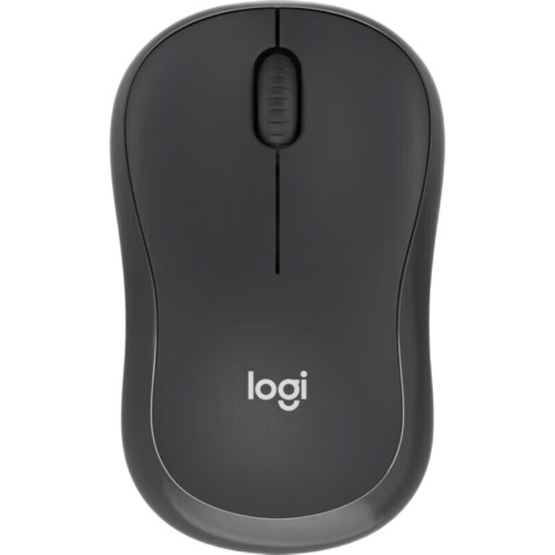 罗技（Logitech）M240 无线蓝牙鼠标 家用商务办公静音鼠标轻质便携 适用Mac苹果iPad M240 黑色