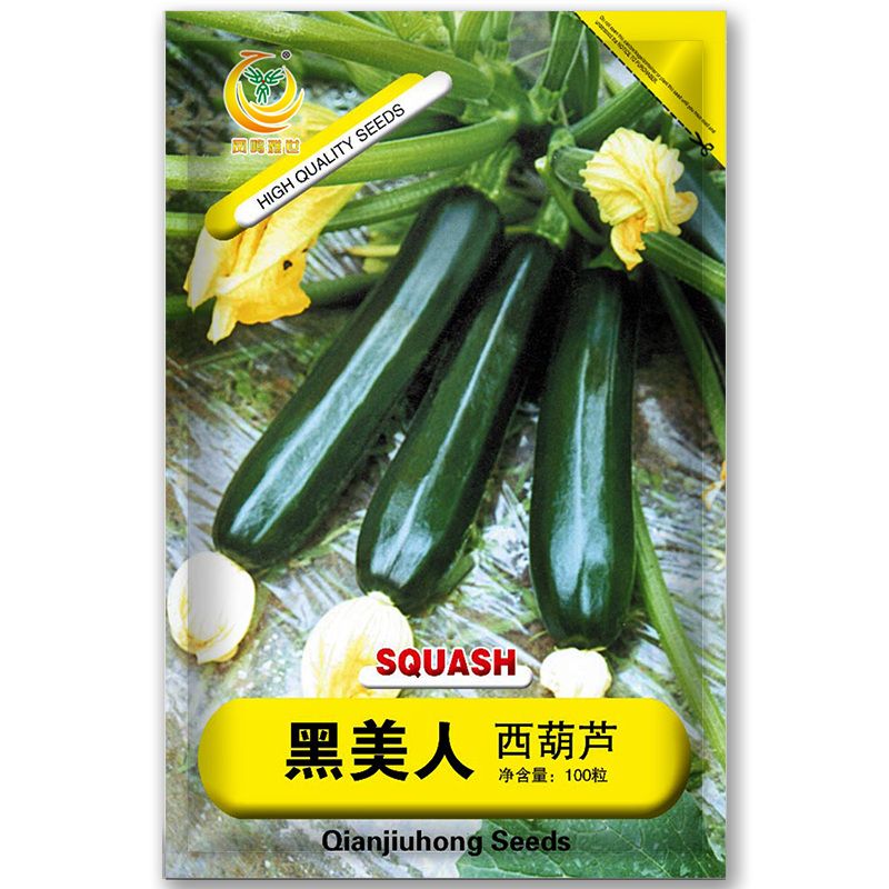 凤鸣雅世黑美人西葫芦种子蔬菜种子四季盆栽蔬菜种籽菜种子水果西葫芦籽 黑美人西葫芦种子10克约40多粒