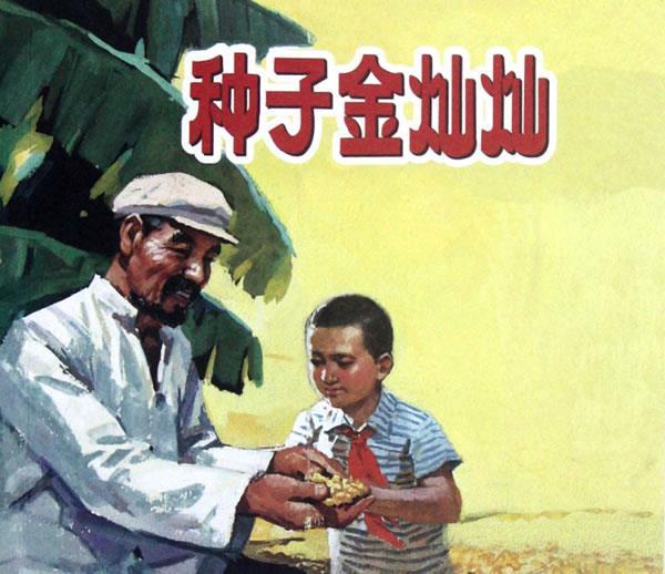 种子金灿灿 明扬改编【书】