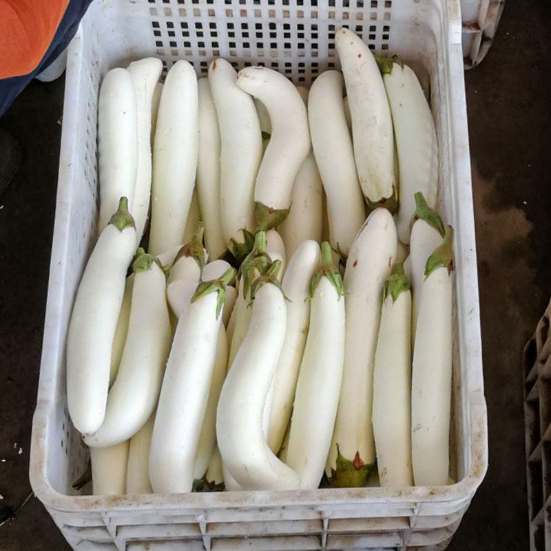 白茄子 相关京东优惠商品 4 价格图片品牌优惠券 虎窝购