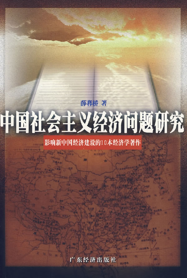 中国经济问题研究【正版图书】