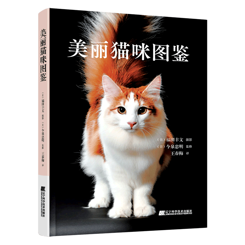美丽猫咪图鉴