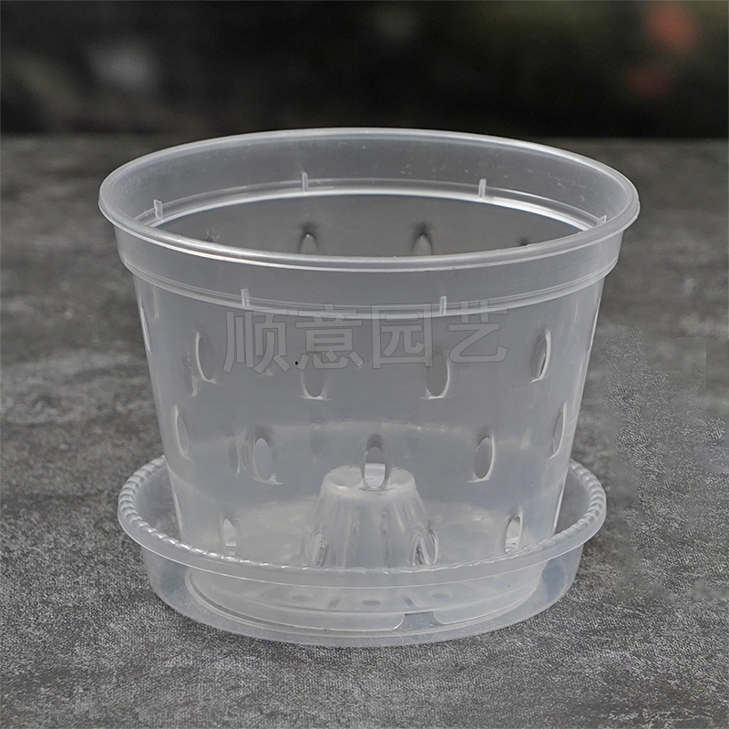 新款蝴蝶兰专用花盆透明白塑料带侧孔树脂育苗杯石斛绿植透气养根 透明白色侧孔硬杯+透明托盘 树脂 数量是10个盆（/套装）