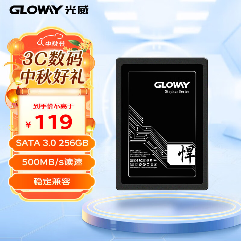 光威（Gloway）256GB SSD固态硬盘 SATA3.0接口 悍将系列