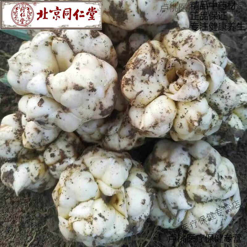 北京同仁堂新鮮百合精選非龍山宜興現(xiàn)挖特產(chǎn)百合卷單微苦精品鮮白合 3斤裝(25-30個(gè)內(nèi))