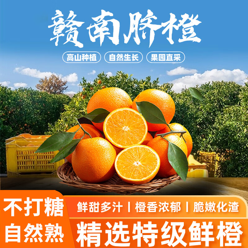 橙子活动价格历史|橙子价格走势图