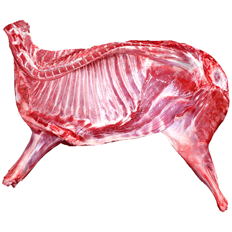 �������� �ָ��ֻ����10��װ��п�������������������-Դͷֱ�� 269Ԫ