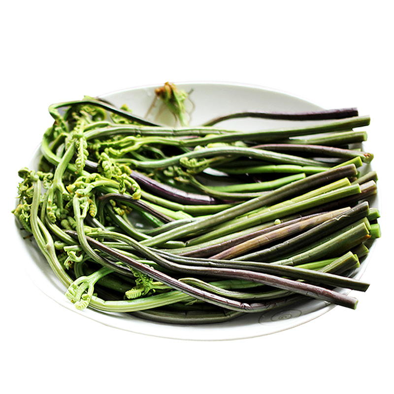 云南特产新鲜蕨菜1.5kg 龙爪菜泡菜酱菜腌菜凉拌炒菜清水蕨菜