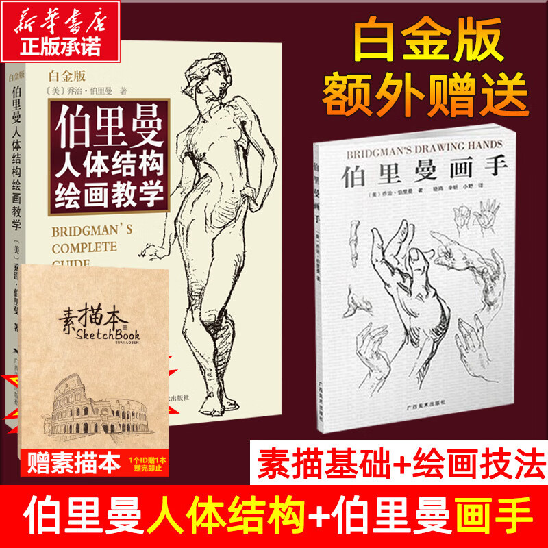 买1赠2伯里曼人体结构绘画教学 白金版人