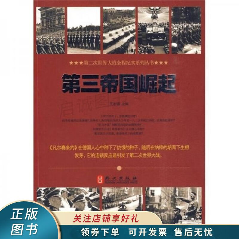 第三帝国崛起 王志强