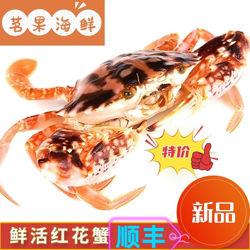 李享食丰红花蟹海捕鲜活红花蟹鲜活海捕梭子蟹花蟹生鲜蟹海鲜花蟹