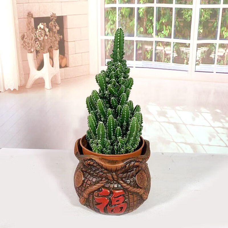 仙人掌多肉盆栽室内办公室防植物耐阴好养花卉 万重山(福字陶瓷盆) 含