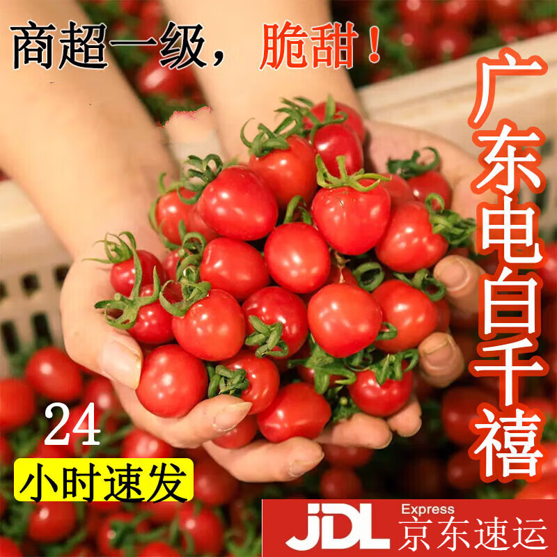 樱鲜【jd配送】广东茂名电白千禧果小番茄冰糖圣女果自种直发 3斤混装
