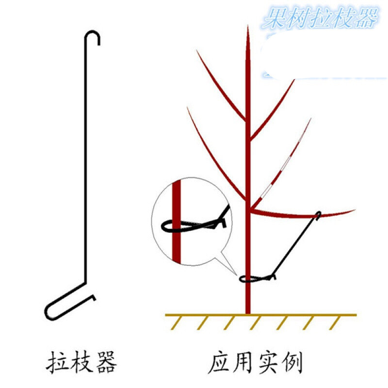 诺捷盛果树拉枝器可调式果树拉枝器开角器 苹果树梨树李树大樱桃树