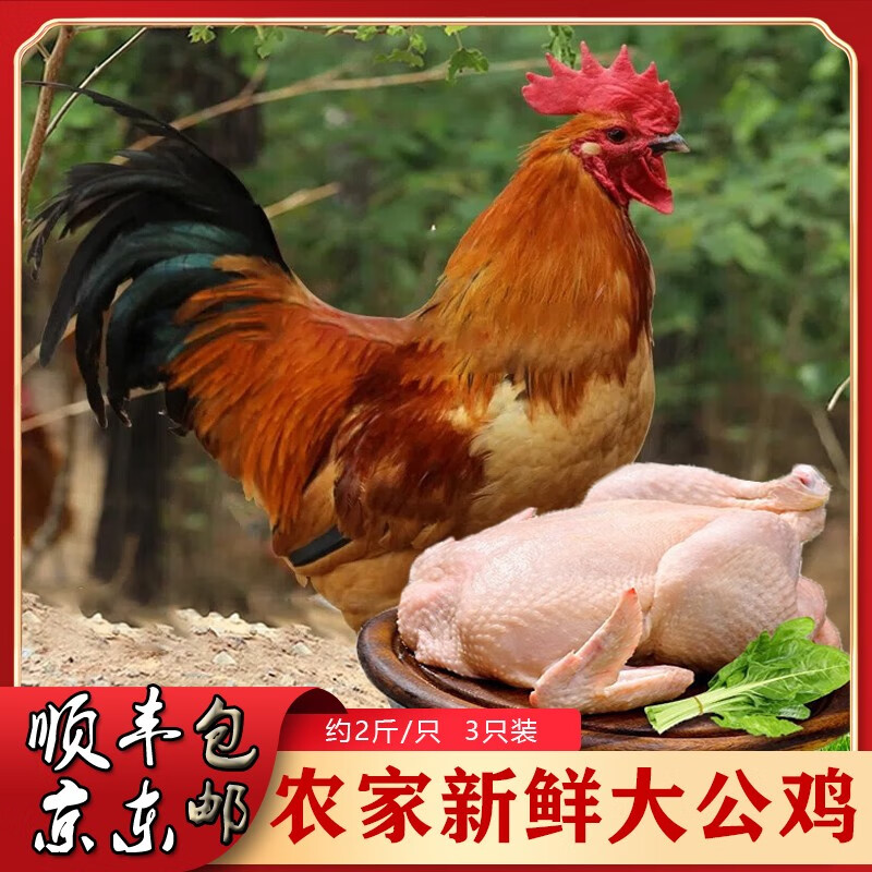 在京东怎么查鸡肉历史价格|鸡肉价格历史