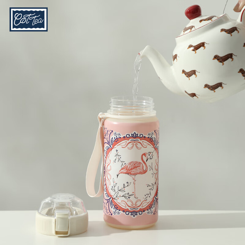 TAEFAIR火烈鸟弹跳杯Tritan茶水分离学生成人便携英式创意含茶滤泡茶水杯 C-镜框火烈鸟Tritan弹跳杯650ml