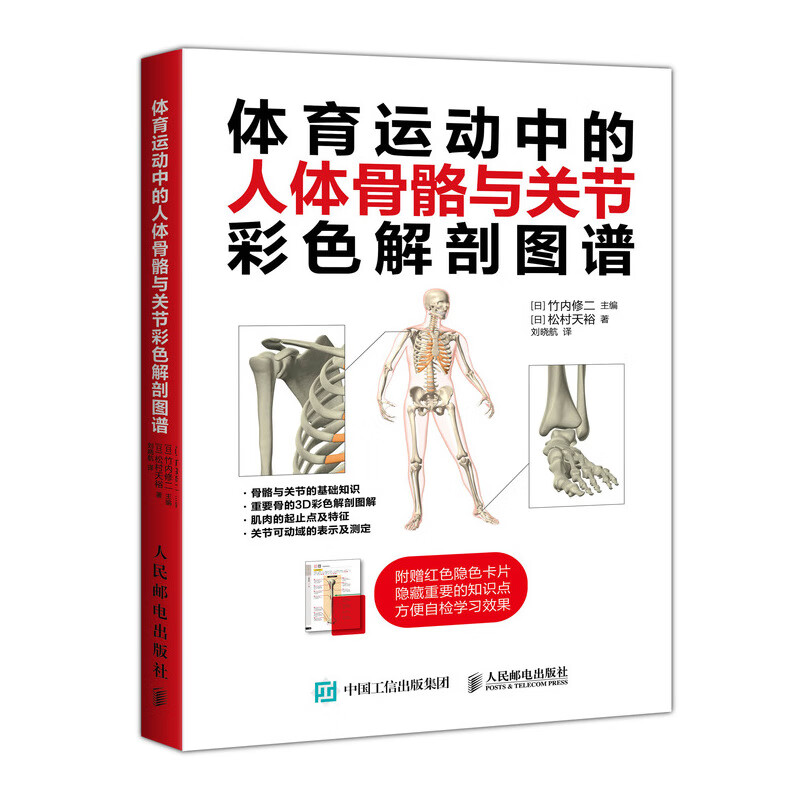 骨和重要关节解剖学名称形态征和功能人体医学彩色图解运动解剖学图谱