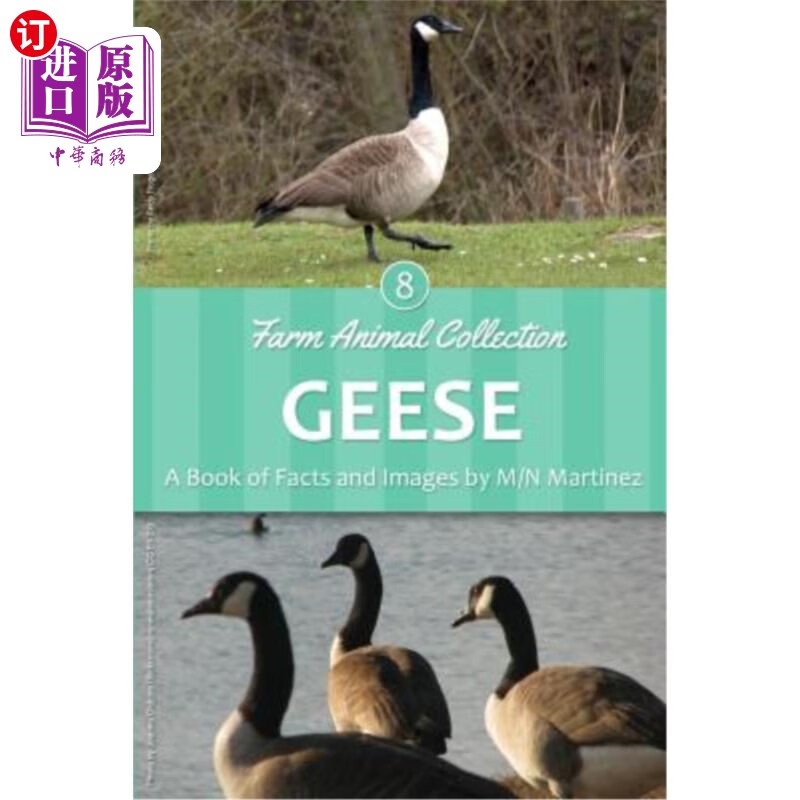 海外直订geese 鹅