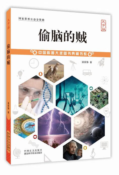 偷脑的贼