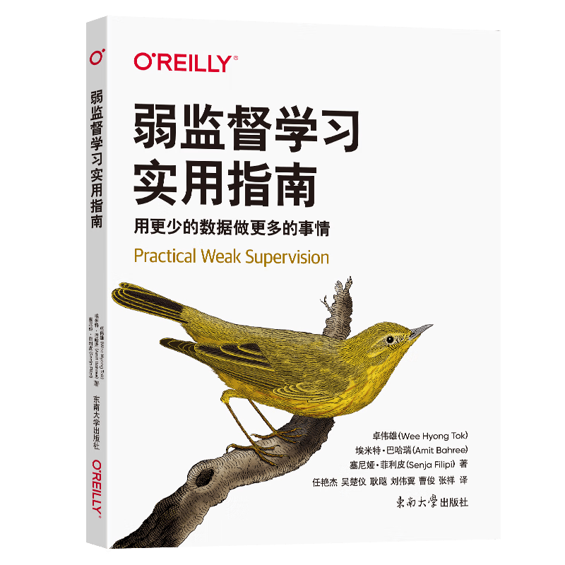 弱监督学习实用指南