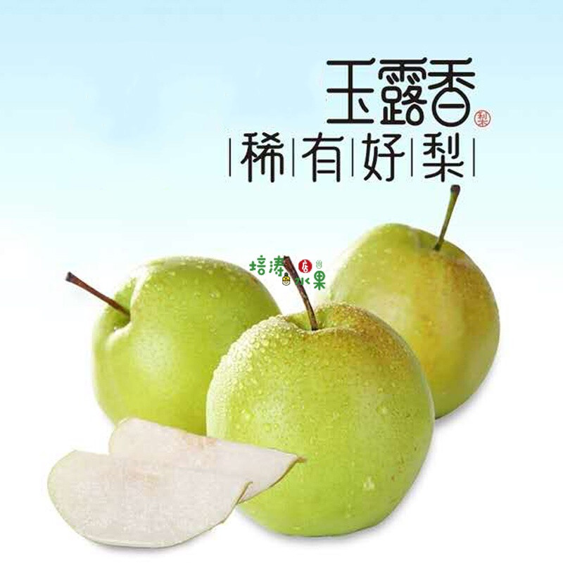 四叔公果蔬玉露香梨 山西梨子新鲜水果玉露香梨特大果4/6斤9颗礼盒