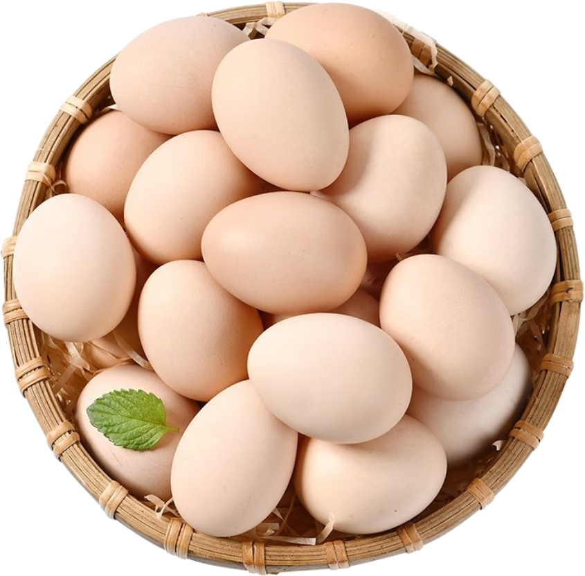 固伦天原 新鲜现捡鸡蛋 笨鸡蛋 柴鸡蛋 现捡蛋初生蛋简装 8枚 240g