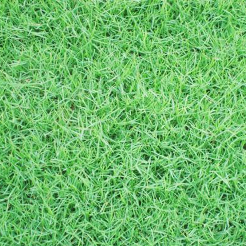 花草林木类历史价格查询工具|花草林木类价格走势