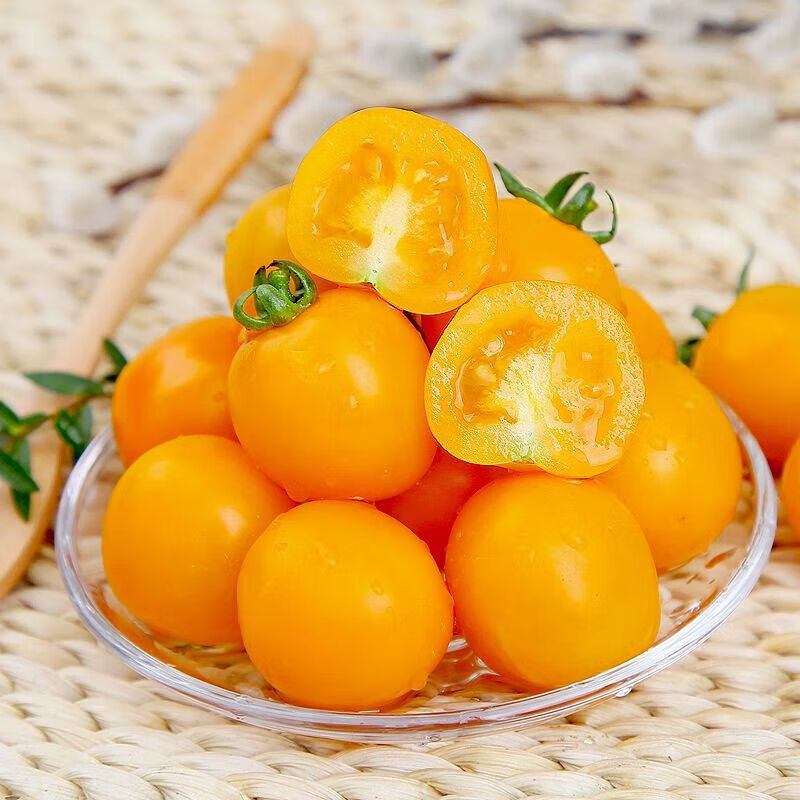 黄金圣女果新鲜黄金小番茄现摘现发孕妇水果多汁酸甜 黄圣女果【5斤】