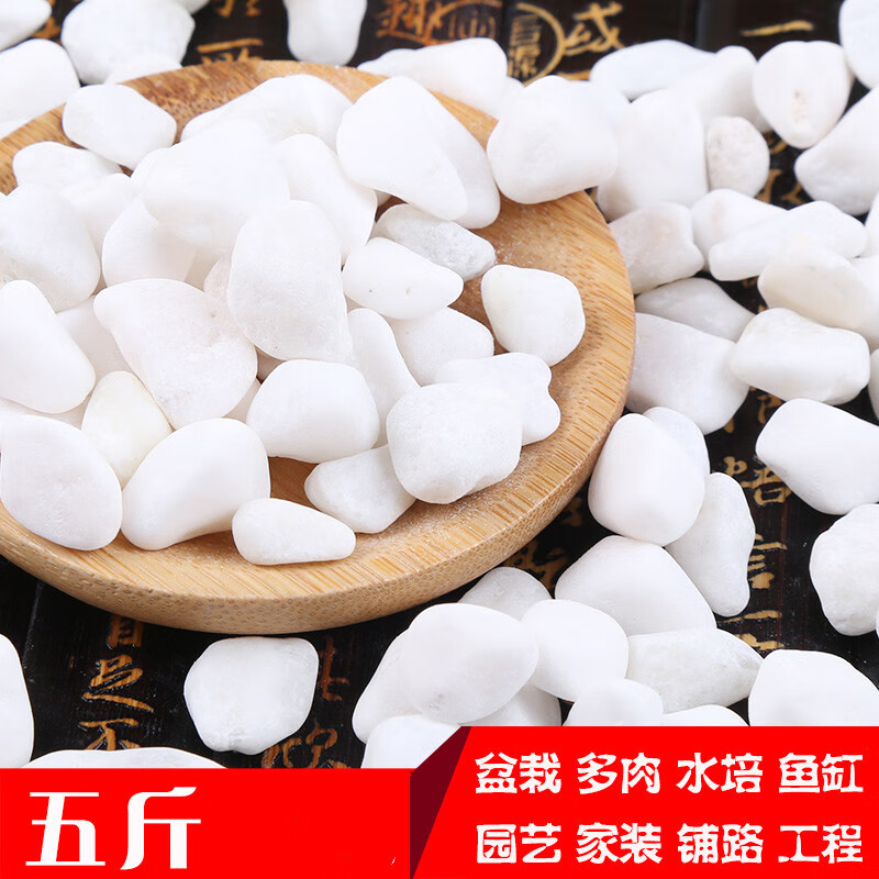 冠堂居 【五斤】灭烟石沙小白石子鹅卵石原石天然多肉铺面石园艺造景