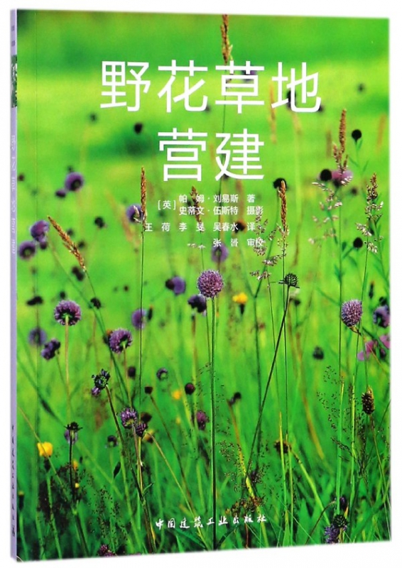 野花草地营建