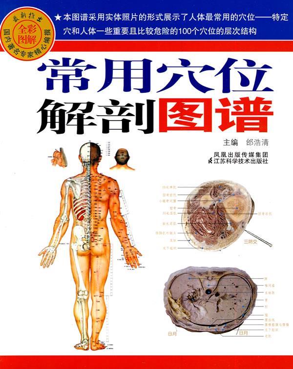常用穴位解剖图谱 邰浩清 主编【正版】