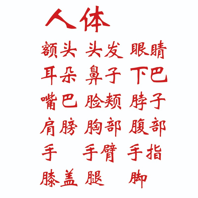 喜艾林 可定制人体部位中英文单词贴纸英语教学儿童识字墙贴男孩女孩