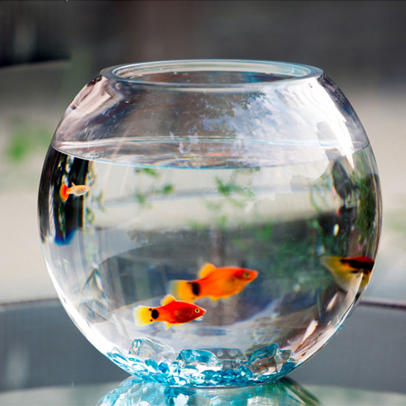 易萌水培容器鱼缸怎么样?好不好？评价很好吗