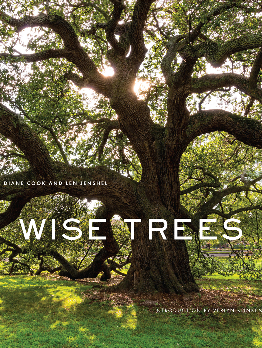 wise trees