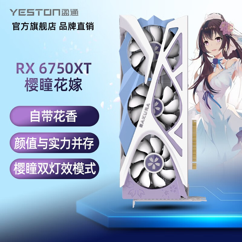 盈通yeston AMD RX6750XT 12G D6 台式机电脑游戏显卡 RX6750XT 12G D6 樱瞳花嫁纪念版