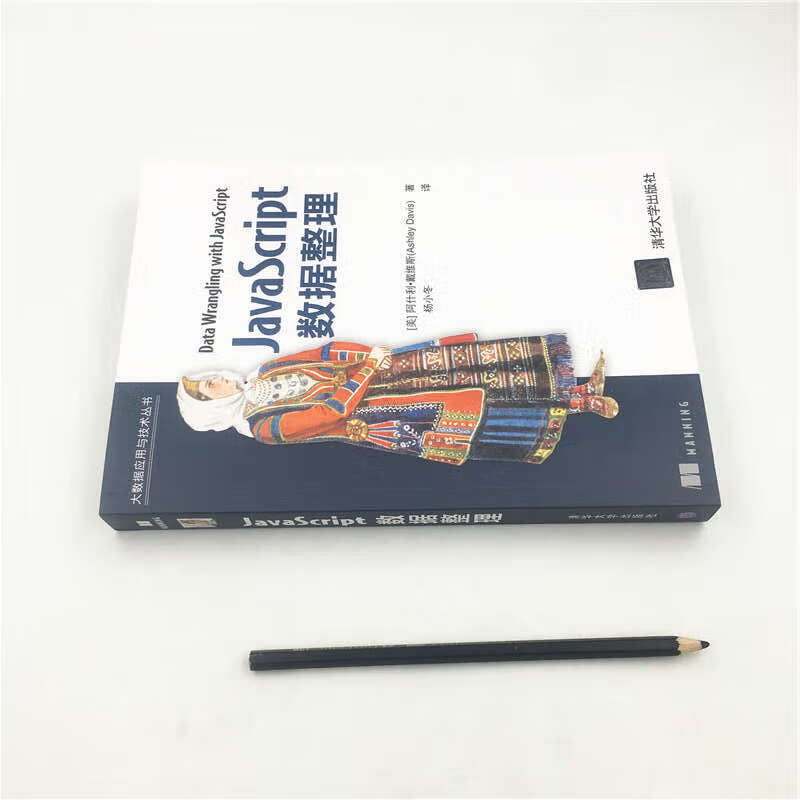 JavaScript数据整理/大数据应用与技术丛书