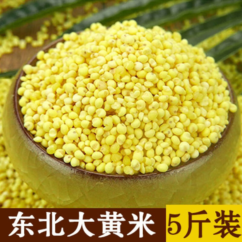 东北大黄米5斤农家新米糯小米粘豆包粽子小米粥糯黏粘黄米黍子米