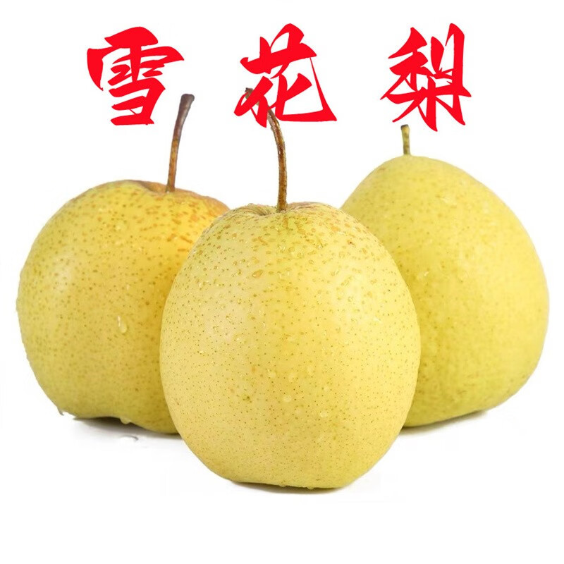 caifan 雪梨 河北赵县赵州新鲜雪花梨水果梨子冰糖雪梨整箱 雪花梨 10