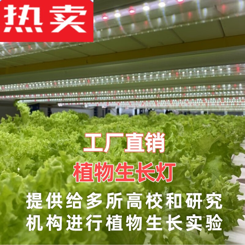 梵靓（FLDJL）全光谱植物生长补光灯仿太阳光室内种植草莓水培叶菜蔬菜花卉绿植 0.6米-18全光谱-双排灯珠 购买人