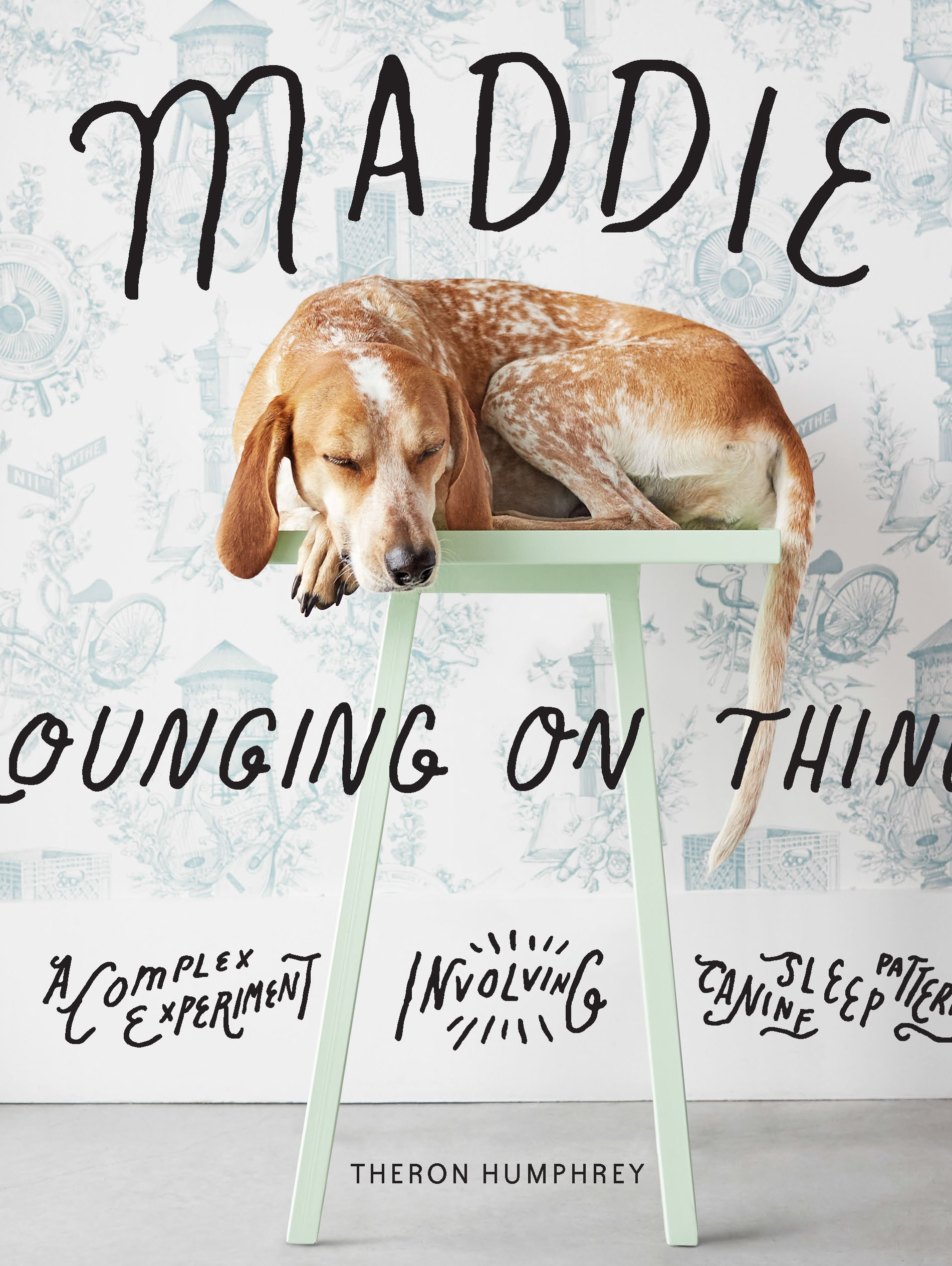 maddie lounging on things