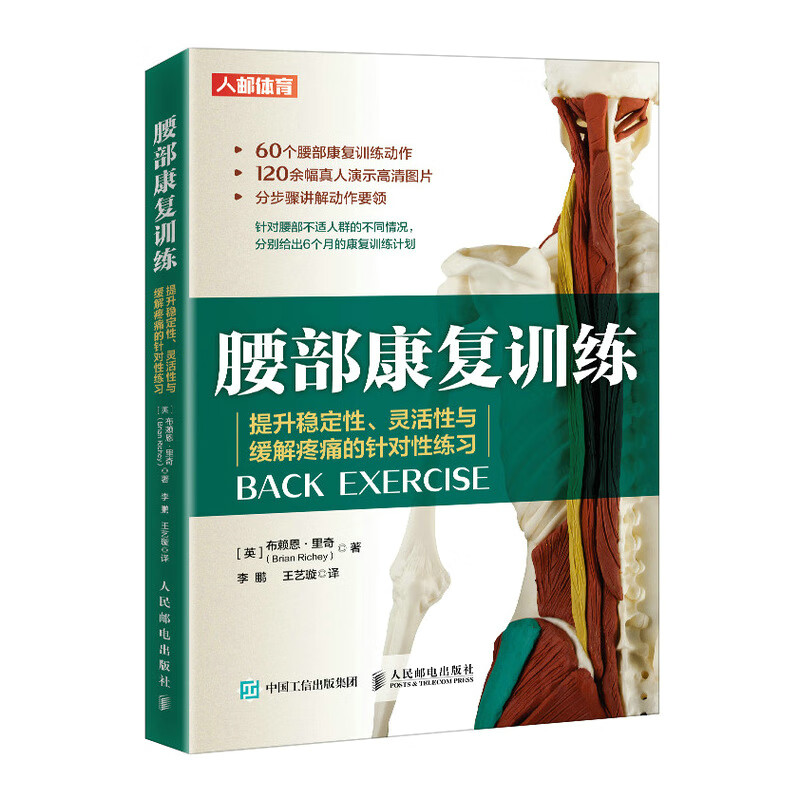 腰部康复训练 提升稳定性灵活性与缓解疼痛的针对性练习