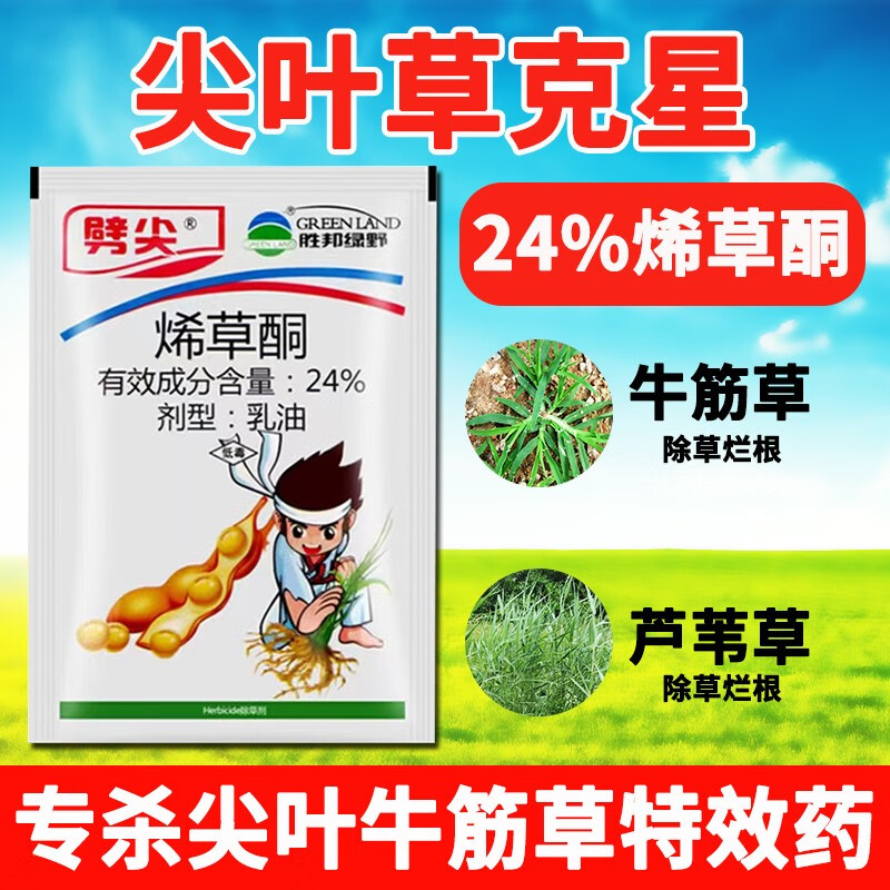 田除草剂牛筋草狗尾草野燕麦看麦娘尖叶杂草农药 尖叶草克星【1袋】