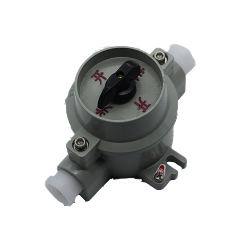 防爆开关220vsw-10防爆照明开关380v防爆电器设备控制防爆灯开关 国标