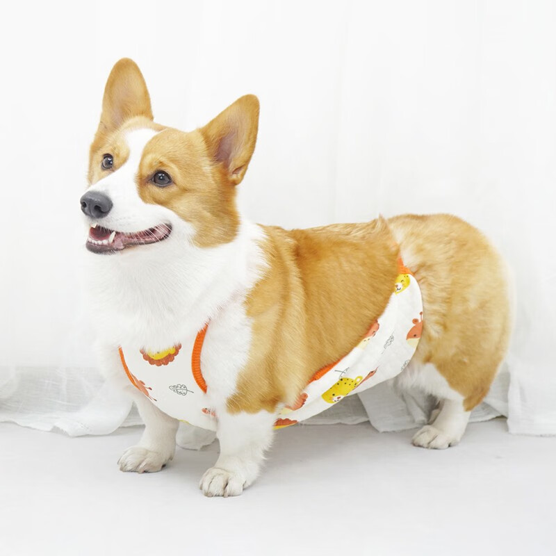 SLPC狗狗肚兜柯基护肚子防脏小狗幼犬防着凉肚兜中大型犬外出保暖肚兜 歪歪兔（母款） S（建议10-15斤）泰迪比熊法斗