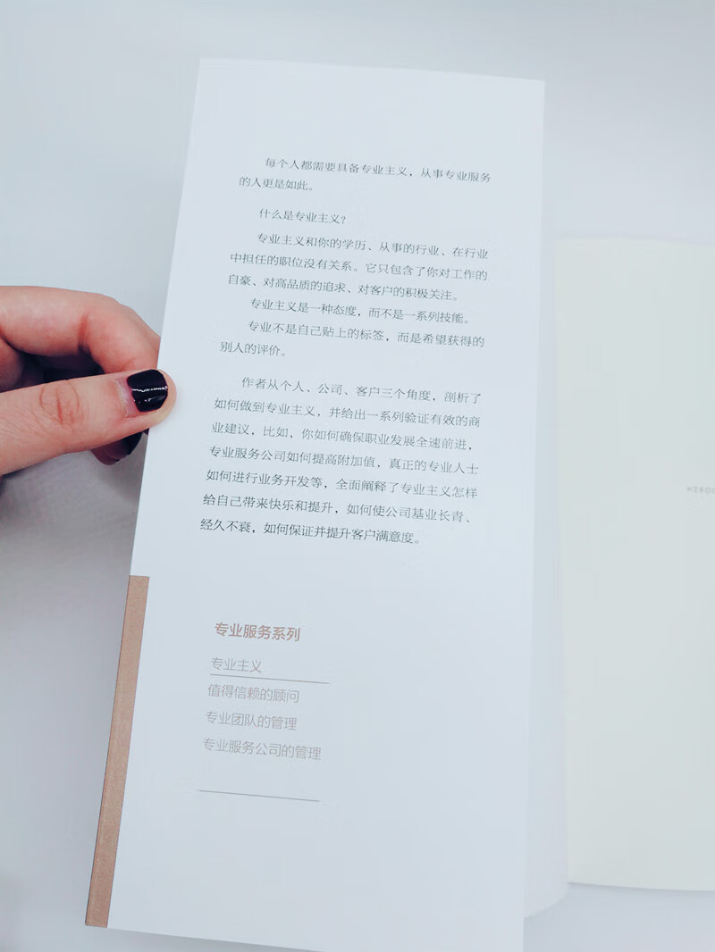专业主义详情图