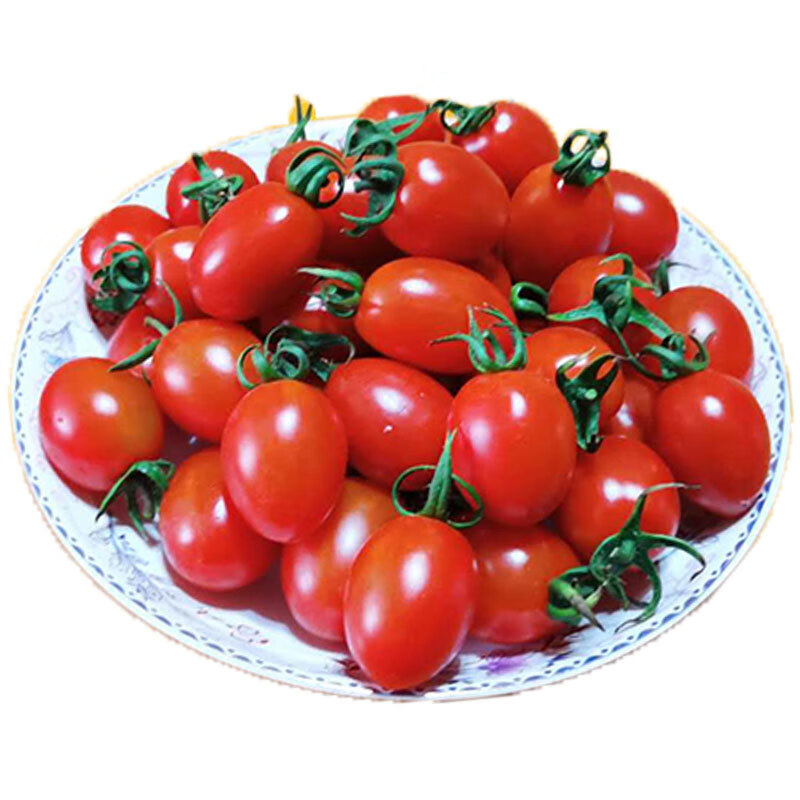 乡语小吖 云南圣女果 5斤装 当季时令玲珑水果小西红柿 新鲜水果生鲜