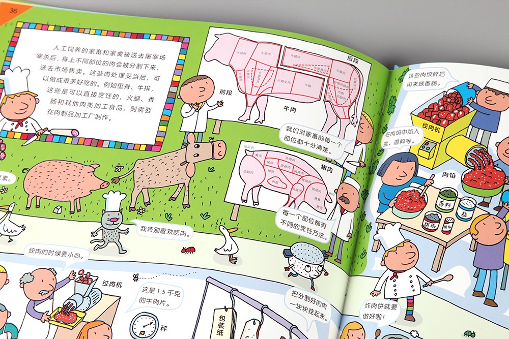 食物从哪里来？