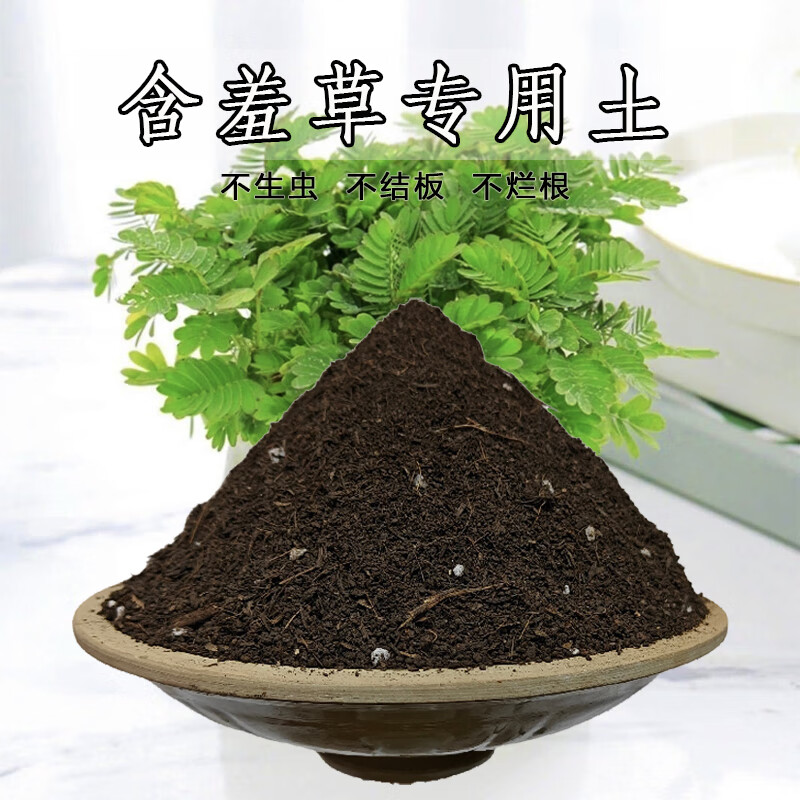 含羞草专用土营养土家用盆栽酸性沙质土壤绿植种植通用营养土有机